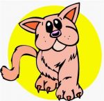 CAT_grafika.jpg