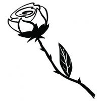 black-and-white-rose.jpg